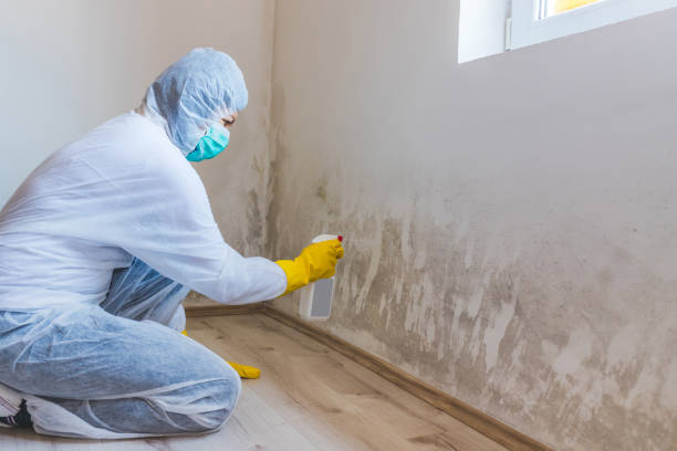 Bathroom Mold Removal assessment in Westchester bathroom
