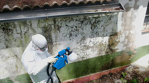 Mold Removal service in Westchester